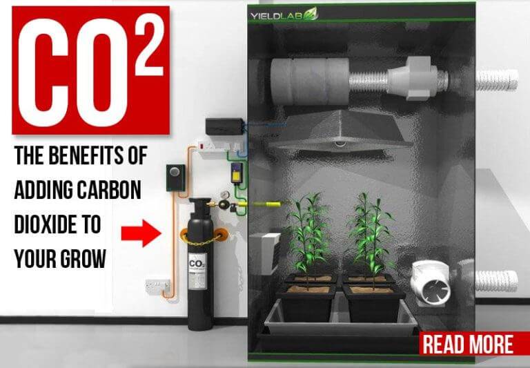 Can I use CO2 generators in a small home growing space?