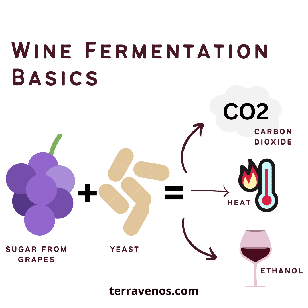 How does CO2 affect the fermentation process in winemaking?
