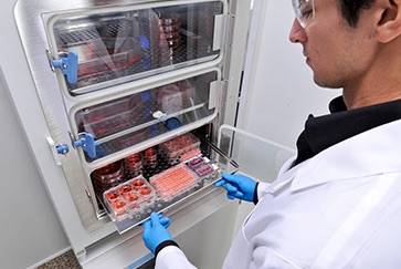 Biological cell incubator employing carbon dioxide gas.