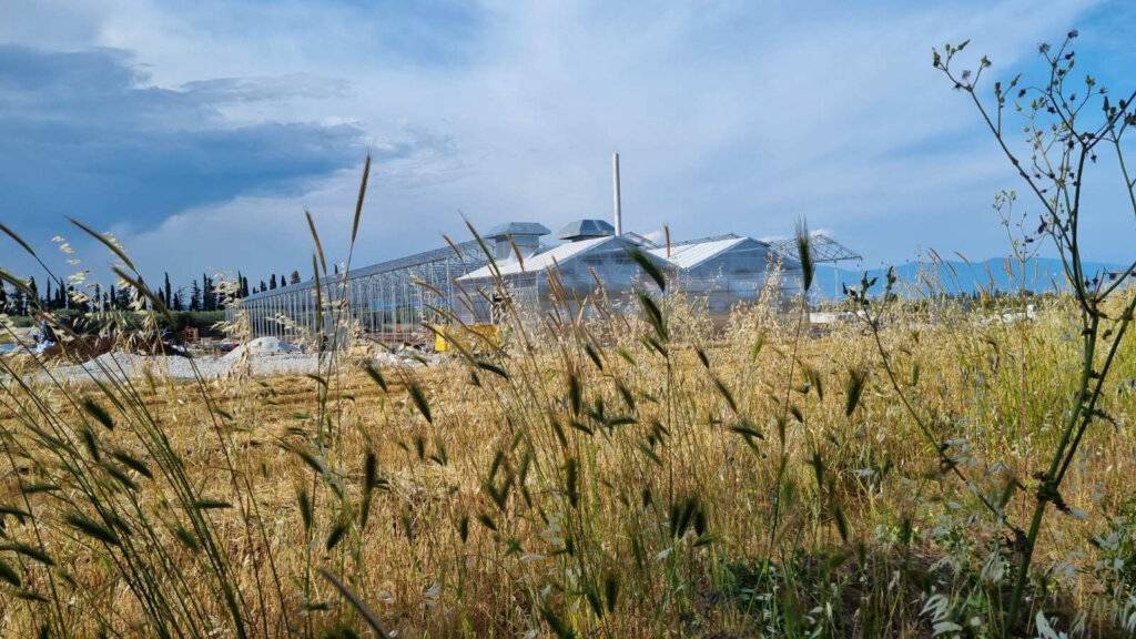 Influence of Co2 Control on the Efficiency of Agricultural Operations?