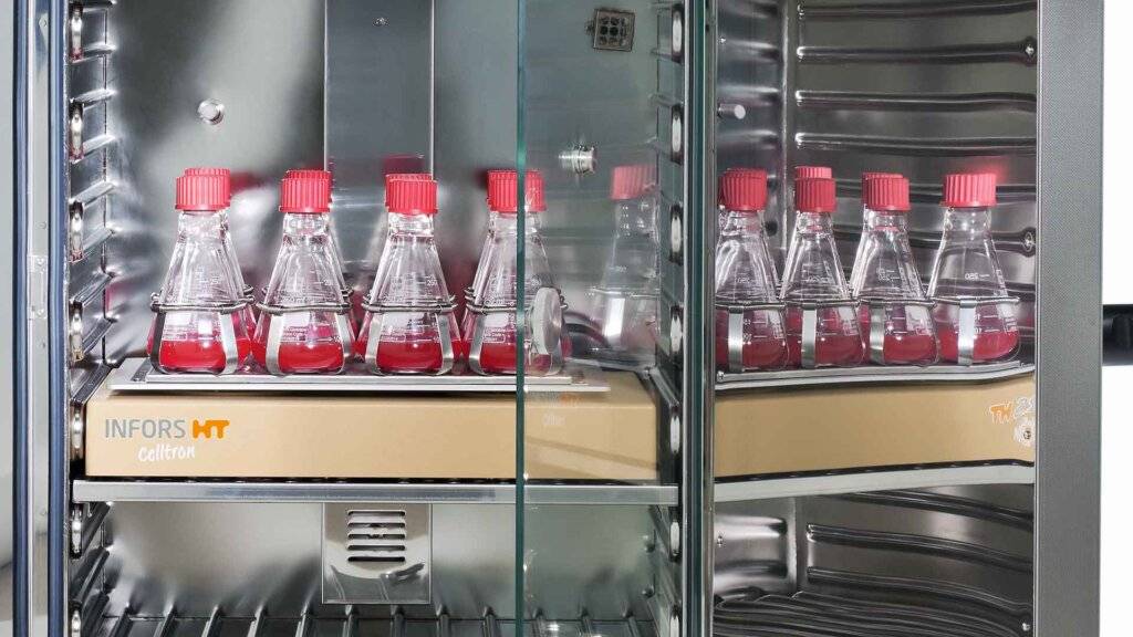 Key Factors in Co2 Detection for Successful Incubation Processes?