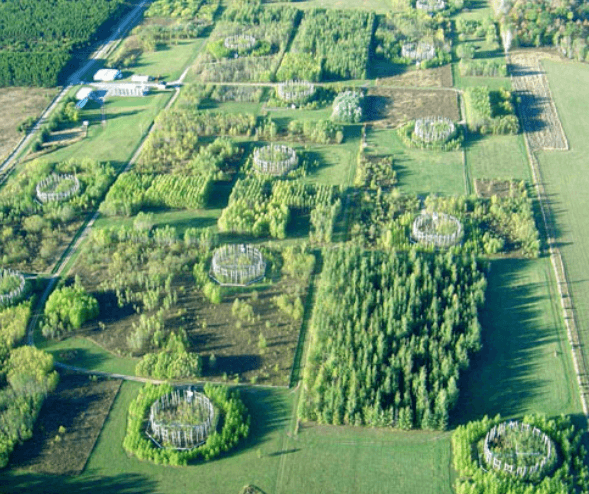 Why is CO2 Crucial in Closed-Loop Greenhouse Agriculture